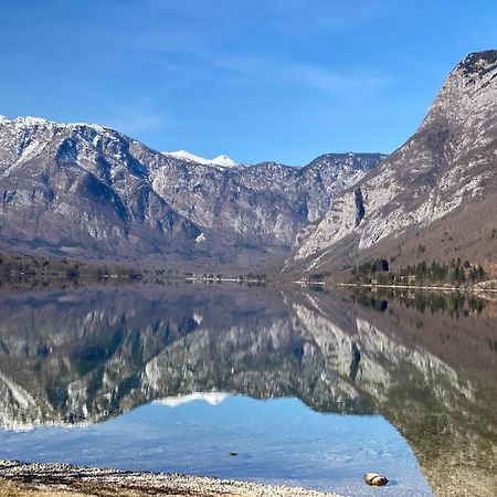 Mountain View In Triglav National Park Apartment Бохин Екстериор снимка