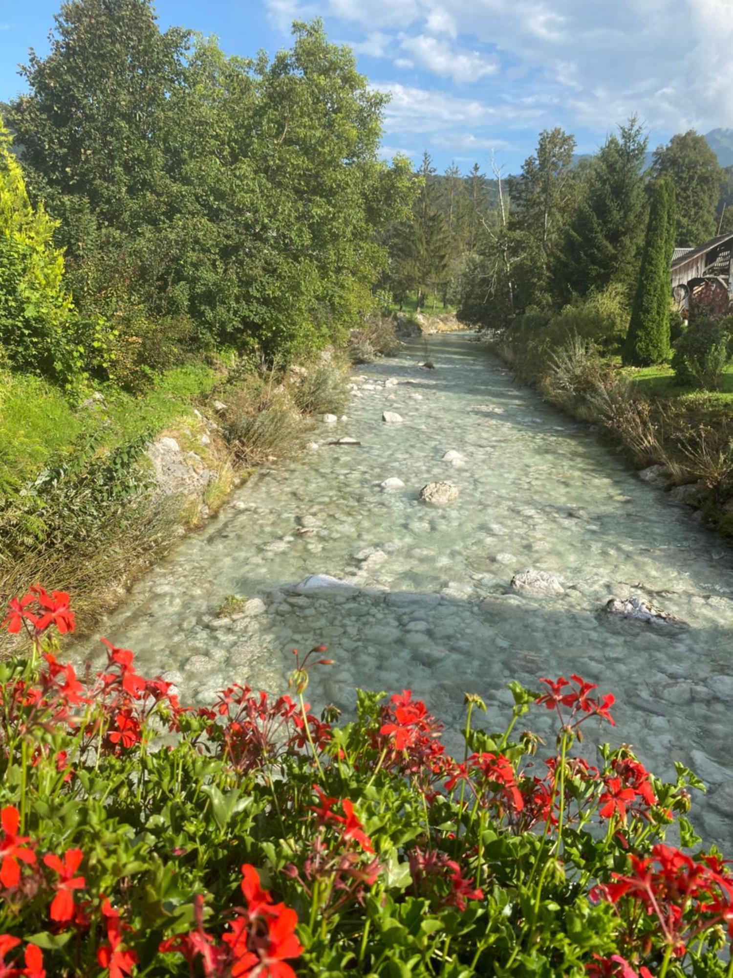 Mountain View In Triglav National Park Apartment Бохин Екстериор снимка