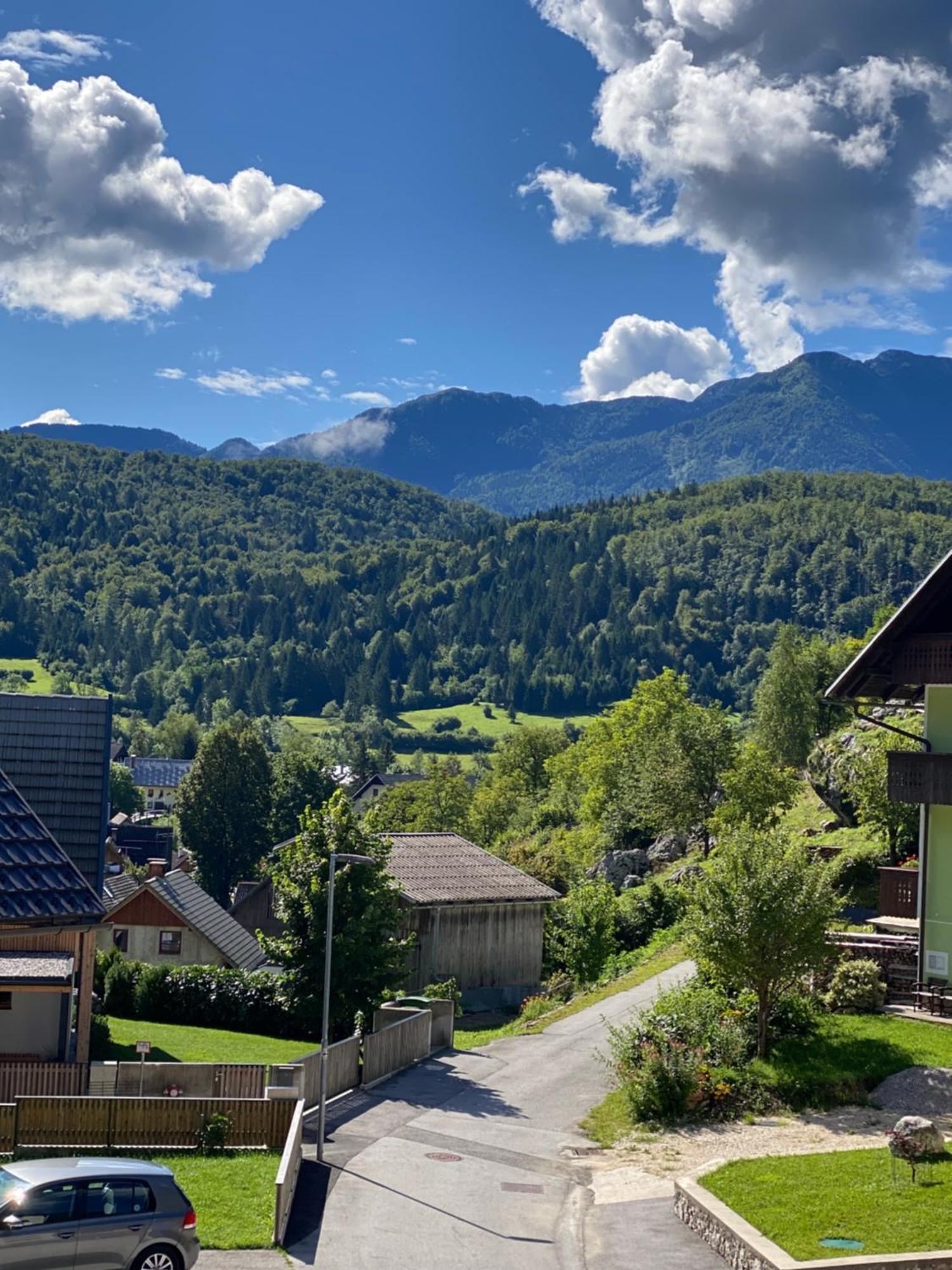 Mountain View In Triglav National Park Apartment Бохин Екстериор снимка
