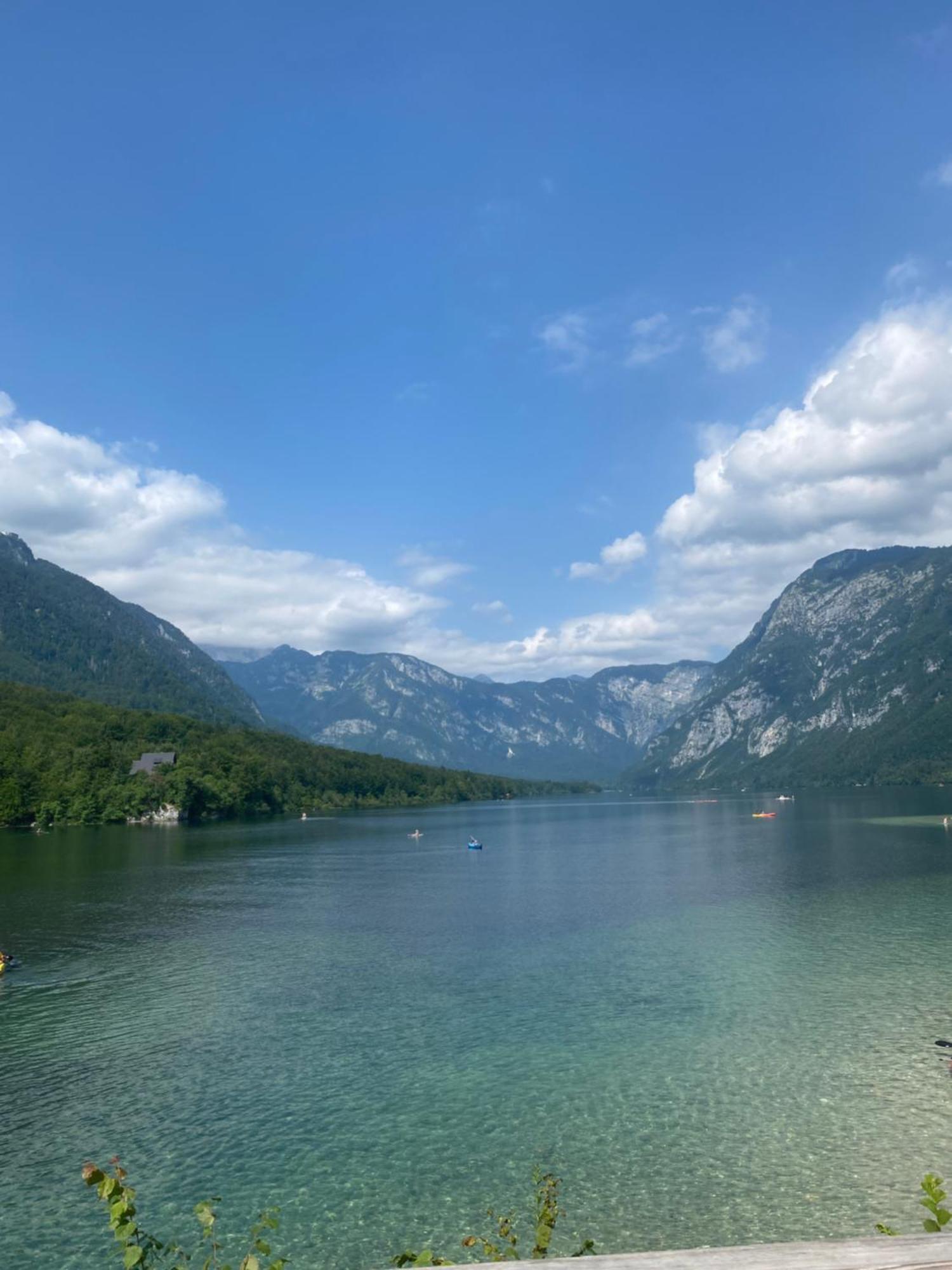 Mountain View In Triglav National Park Apartment Бохин Екстериор снимка